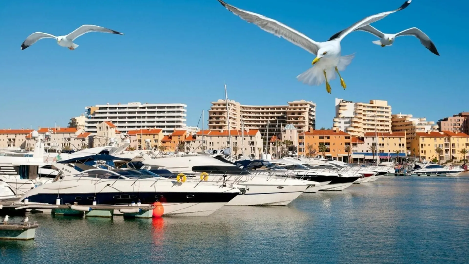 Apartment With 2 Bedrooms In Quarteira, With Wonderful City View, Pool